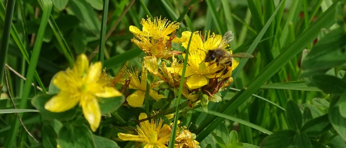 Koniec lata 3